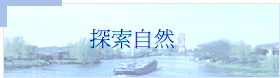 ۵M