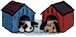 twindoghouse.gif